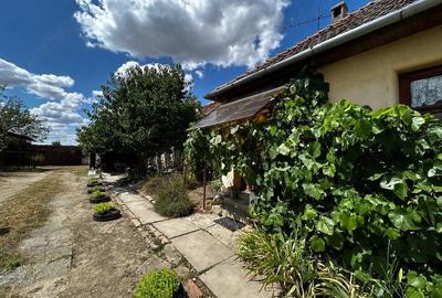 Casă cu 4 camere cu Teren 2877 Mp în Sânpetru Mare