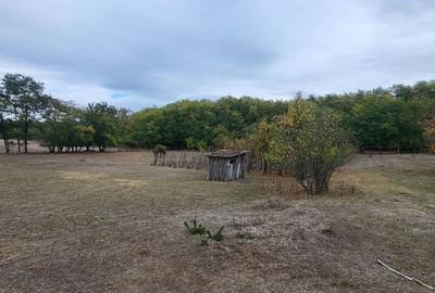 Teren de 32800 mp, în Central