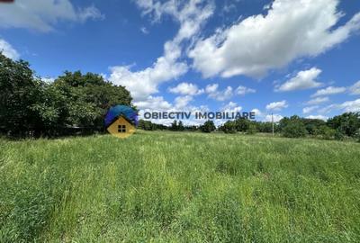 Teren Construcții intravilan de 5654 mp, în Dragomirești - 4