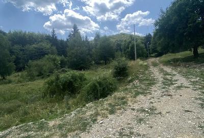 Teren de 1000 mp, în Breaza de Sus - 8