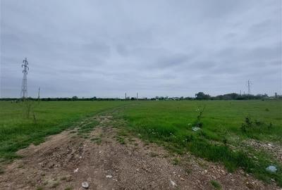 Teren agricol intravilan de 80000 mp, în Grădiște - 9