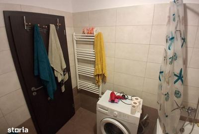 Garsonieră în Bucium