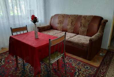 Apartament cu 2 camere nedecomandat în Cetate - 5