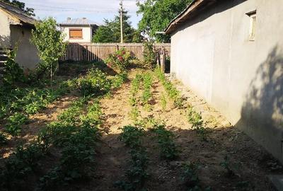 Casă cu 3 camere cu Teren 457 Mp în Central - 9
