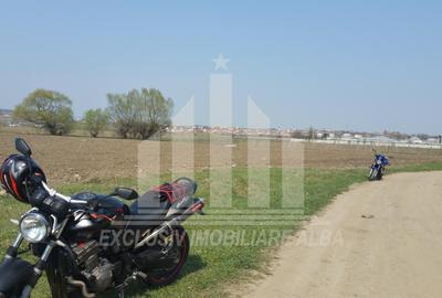 Teren intravilan de 10000 mp, în Partoș - 3