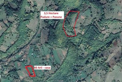 Teren de 35000 mp, în Parva - 7