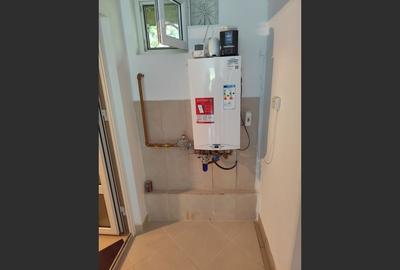 Casă cu 7 camere cu Teren 22000 Mp în Provița de Jos - 6