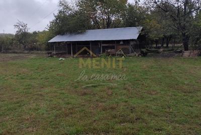 Casă cu 4 camere cu Teren 11250 Mp în Ștubeiu - 4