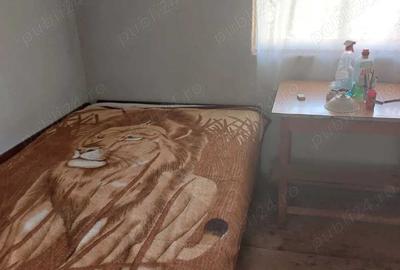 Casă cu 4 camere cu Teren 3516 Mp în Cojasca - 10