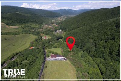 Teren de 2800 mp, în Eremitu - 4