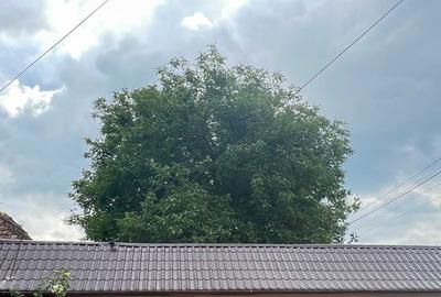 Casă cu 4 camere în Valea Lungă - 2