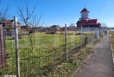 Teren de 881 mp, în Viile Satu Mare