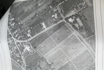 Teren de 5000 mp, în Merei - 1