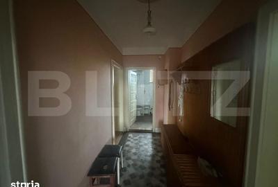 Casă cu 4 camere cu Teren 6197 Mp în Micula - 14