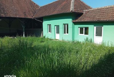 Casă cu 4 camere cu Teren 2877 Mp în Brazii - 3