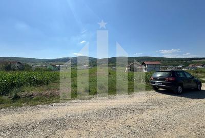 Teren Construcții intravilan de 5100 mp, în Micești - 1