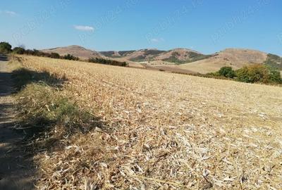 Teren de 1850 mp, în Greci - 4