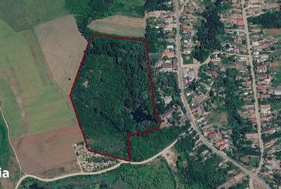 Teren de 63000 mp, în Vânătorii Mici - 2