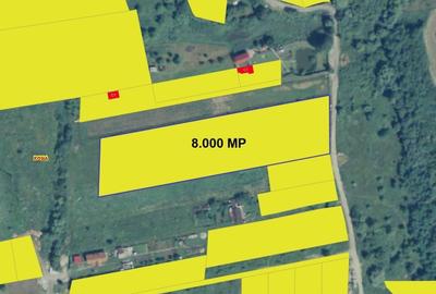 Teren Construcții de 8000 mp, în Daia Nouă - 1