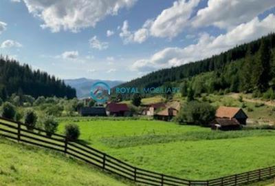 Casă individuală cu 5 camere cu Teren 2908 Mp în Valea Boroș - 50
