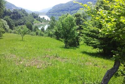 Teren Construcții intravilan de 73000 mp, în Siriu - 9