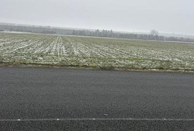 Teren de 260000 mp, în Central - 1