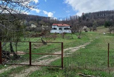 Casă cu 4 camere cu Teren 9000 Mp în Cotmeana - 4