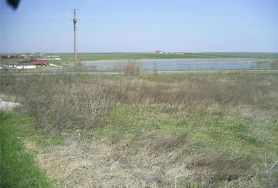 Teren de 12500 mp, în 23 August - 9