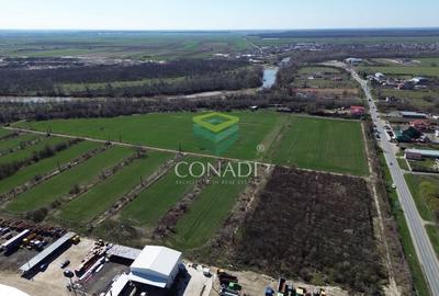 Teren de vanzare -  Bolintin Vale 10 ha - 5