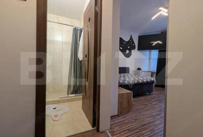 Apartament cu 3 camere semidecomandat în Cantemir - 3