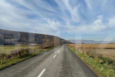 Vand 53 de ari de teren intravilan in Arcalia - 8