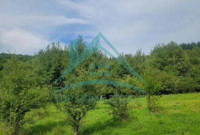 Teren pentru cabana pensiune zona Lac Micesti! - 5