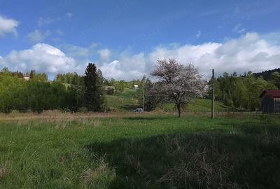 Teren de 5000 mp, în Dorna-Arini - 2