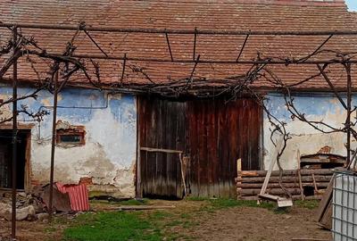 Casă cu 3 camere cu Teren 25000 Mp în Pianu - 1