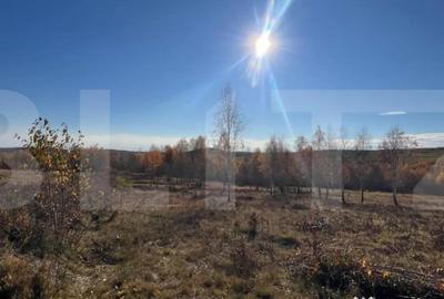 Teren de 1041 mp, în Făget