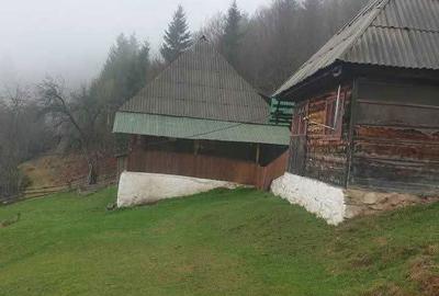 Teren de 60000 mp, în Vadu Moților - 3