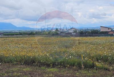 Teren Bod Strada Brasovului - 3