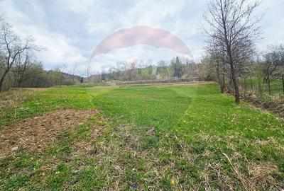 Teren Construcții intravilan de 2910 mp, în Chirițeni - 13