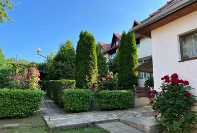 Vand casa (la tara) cu CF (parter+etaj) sau teren intravilan 800 mp cu CF - 2