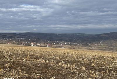 Teren de 990 mp, în Central