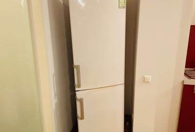 Lacul Tei, Inginerilor - 14