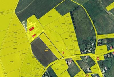 Teren de 4240 mp, în Tăutești - 2