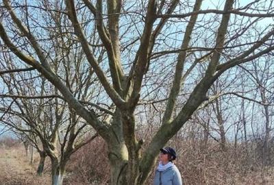 Teren extravilan de 9000 mp, în Letea Veche