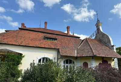 Conac Unicat Timis - 19