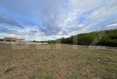 Teren de 1000 mp, în Central - 2