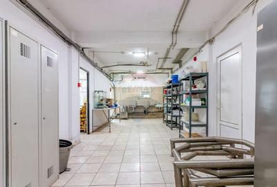 Spațiu comercial, de 425 mp, în Berceni - 11