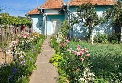 URGENT, gospodarie completa (+auto) in comuna CORLATEL, Mehedinti - 9