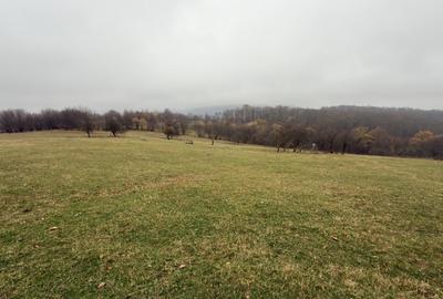 Teren spectaculos 3,5HA zona Cisnadioara - 3