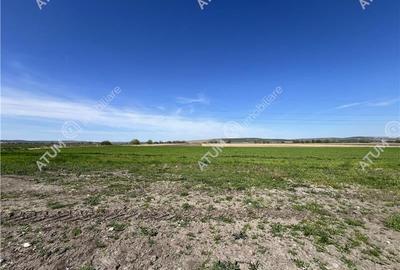 Teren intravilan de 16130 mp situat in Sibiu zona Calea Surii Mici - 6