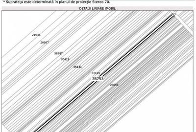 De vânzare fostă cramă 2000p teren, 224 mp construcție - 6